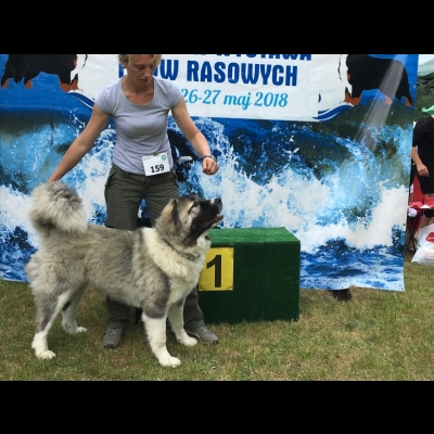 NDS USTKA'18 - BAGIRA - ZWYCIĘZCA MŁODZIEŻY